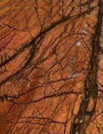 Цвета мрамора - Бидасар голд
