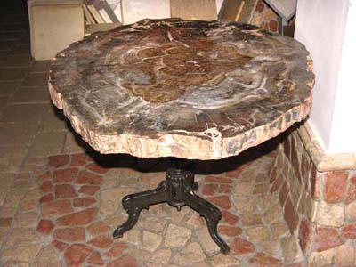 Стол со столешницей из окаменелого дерева