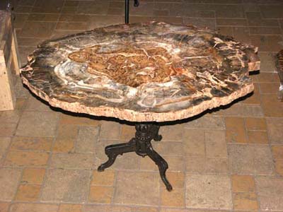 Диковина из Юрского периода - столешница из окаменелого дерева